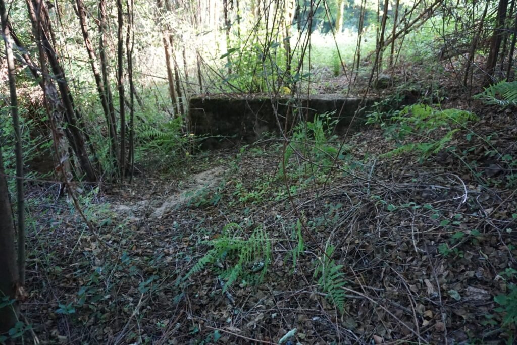 PRESAS DE ÁGUA